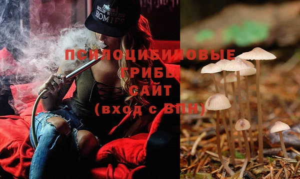 мет Вяземский